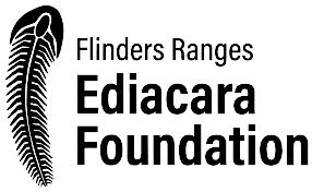 All rhinos have 7 cheek teeth in the dental system; Https Escholarship Org Content Qt6r18f8wn Qt6r18f8wn Nosplash 9824b19218c94e26fa2aec3d9329e996 Pdf T Q3511o