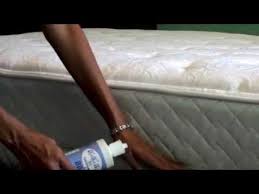 Diatomaceous Earth Bed Bugs Youtube