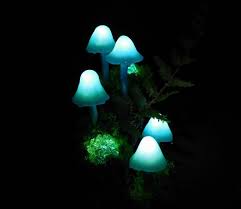 Mushroom Lamp Consisting Of Five Blue Mushroom Lights Which Give A Magic Athmosphere If Used As Room Lighting Mushroom Lamp Mushroom Lights Mushroom Art