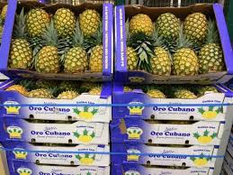 We did not find results for: The First Container Of Cuban Pineapples Is Already On Its Way To Europe