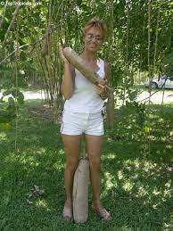 By fall, the drooping spring flowers turn to fruit. Kigelia Pinnata Sausage Tree Toptropicals Com