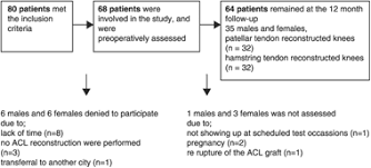 See more ideas about anime couples, anime, avatar couple. Predictive Factors For 12 Month Outcome After Anterior Cruciate Ligament Reconstruction Heijne 2009 Scandinavian Journal Of Medicine Amp Science In Sports Wiley Online Library