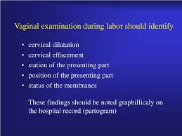 ● when examining anaesthetised patients, all staff should treat the. Ppt Labor Powerpoint Presentation Free Download Id 4549642