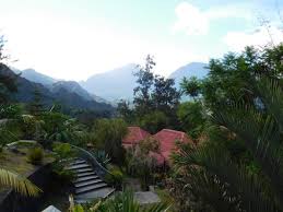 Depuis La Terrasse Picture Of Les Jardins D Heva Salazie Tripadvisor