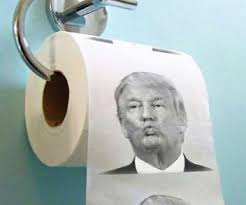 Image result for fancy toilet paper design