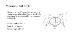 amniotic fluid ppt