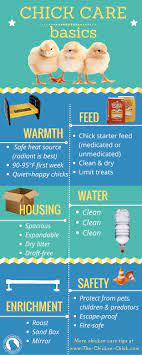Baby Chick Basics. What You Need To Know To Get Started.