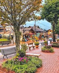 Monte Verde E Eleito Um Dos 10 Lugares Mais Acolhedores Do Mundo Monte Verde Minas Gerais Lindas Paisagens Viagens