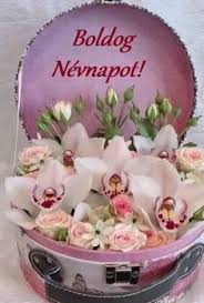 Maybe you would like to learn more about one of these? 87 Nevnapi Kepeslap Ideas In 2021 Kepeslap Szuletesnapi Udvozletek Szuletesnapi Udvozlolapok