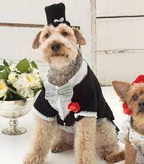 Make A Barking Groom Tuxedo And Top Hat Crochet Projects Crochet Diy Groom