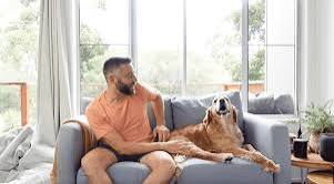 Spot the signs of mobility problems in your pet – Vetz Petz Antinol UK