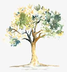 Maybe you would like to learn more about one of these? Pintado A Mano De Color Rosa Dibujos Animados Arboles æ°´å½© æ¨¹ 1024x1024 Png Download Pngkit
