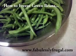 For dried limas, allow the pods to dry completely, and then thresh as you would common beans. How To Freeze Green Beans