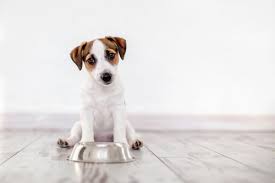 Maybe you would like to learn more about one of these? Puppy Feeding Schedule Chart Amount Puppyspot