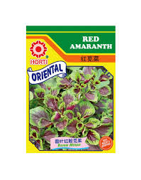 May 29, 2021 · resep 652. Red Amaranth Bayam Merah çº¢è‹‹èœ By Horti