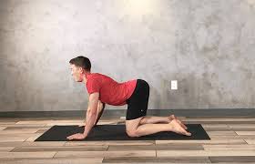Pin On Exercise