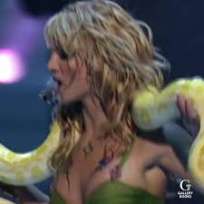 Image result for britney spears python
