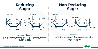 Whys Is Sucrose A Non Reducing Sugar But Fructose A Reducing Sugar? : R/Mcat