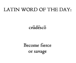 Crudesco Weird Words Latin Words Rare Words