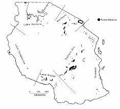 Image result for Aphanocalyx richardsiae