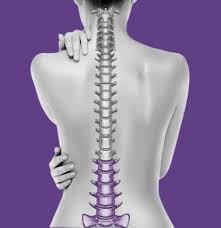 In some cases you can use backbone instead a noun back bone, when it comes to topics like spinal column. Lower Back Lumbar Sacrum Conditions Nu Spine