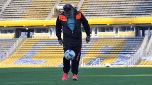C?sar's plan to become cristian addicted to undermine the power of the borges is. Cesar De La Sub 21 De El Marginal Le Pidio Al Presidente De Iasa Que Asciendan