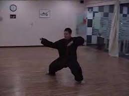 The jiulong baguazhang™ family of practitioners is rapidly growing around the world. An Wushu Bagua Zhang And Baji Quan Clip Compilation Youtube