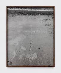 Bildergebnis für Maria Laet