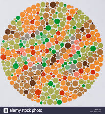 Ishihara Color Vision Test Plates Used For Color Blindness