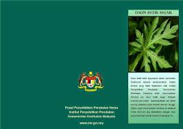 Demam denggi sememangnya sangat menakutkan. Jus Daun Betik Sebagai Penawar Merawat Demam Denggi Celoteh Mama Lutfi