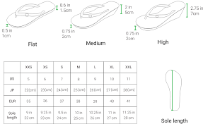 size chart popits hawaii