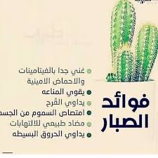 Pin By Azhar Alkenany On صور Cactus Plants Plants Cactus