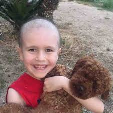 Fundraiser by Michelle Roy : SuperMax and his Battle with Cancer