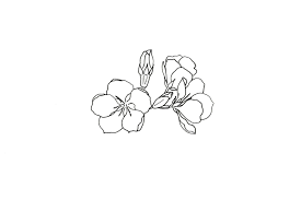 Black And White Cherry Blossom Wall Art Cherry Blossom Minimalist Wall Art Hand Drawn Black And Etsy How To Draw Hands Cherry Blossom Drawing Blossom Tattoo