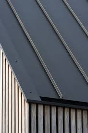 Sustainable Longhouse With Roof Made From Greencoat Steel Shown On Dutch Television Ssab Roof Cladding House Cladding Zinc Roof