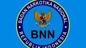 Semoga sharing kali ini bisa bermanfaat ya untuk kalian terutama untuk temen temen yang masih galau mau ngapain habis lulus. Formasi Cpns Bnn 2021 Persyaratan Cpns Bnn Cara Daftar Cpns 2021 Cek Disini Agar Tak Keliru Sriwijaya Post