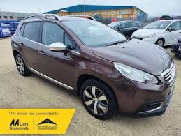 Image result for Brown Squirrel 2014 Peugeot