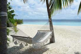 Find this pin and more on palm trees & hammocks by steve. Hammock Under Palm Trees On A Island In The Maldives Ad Palm Hammock Trees Maldives Island Ad Hammock Maldives Tree