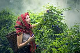 Plus a garden can provide a relaxing way to connect with nature and work with your hands. Want To Grow Your Own Food Here S How Emagazine Com