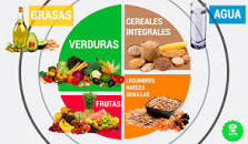 Resultado de imagen para "Michael Pollan" plato harvard perfecto