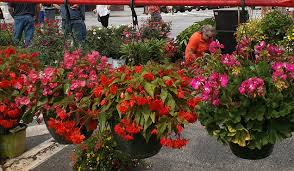We did not find results for: Garden Jubilee Visitors Information Center Hendersonville Nc