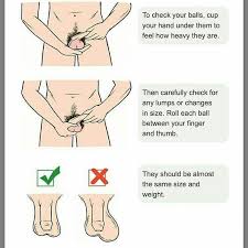 By liz walter there are a surprising number of idioms that contain the word 'ball'. Mypaddi Testicular Cancer Occurs In The Testicles Facebook