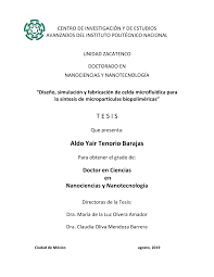PDF) "Diseño, simulación y fabricación de celda microfluídica para la  síntesis de micropartículas biopoliméricas"