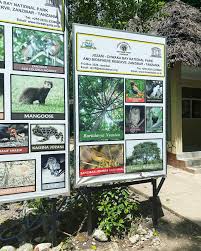 Image result for Burttdavya