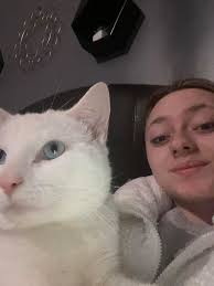 Lost Cat in Haverhill, MA, near Westgate Market Basket