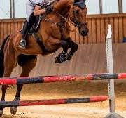 Losetas de caucho 100X50cm 43mm para Caballos - DEGOMA