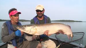 With 2,600 miles of shoreline accessible from timber edge camps, there's plenty of opportunity to find the fish of your dreams. Lindner S Angling Edge Waypoint Tv