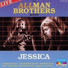 40th anniversary show live at the beacon by allman brothers band dvd $19.98. Bol Com The Best Of The Allman Brothers Band Live Allman Brothers Band Cd Album Muziek