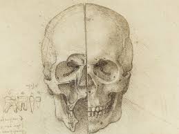 Quotes of leonardo da vinci. Art In Focus Leonardo Da Vinci The Skull Sectioned