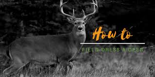 Steven rinella explains how the mule deer species evolved steve explains how the mule deer as a species evolved, as well as how their sensitivity to habitat loss and development in the west will likely lead to their eventual demise. How To Field Dress A Deer Hinterland Outfitters
